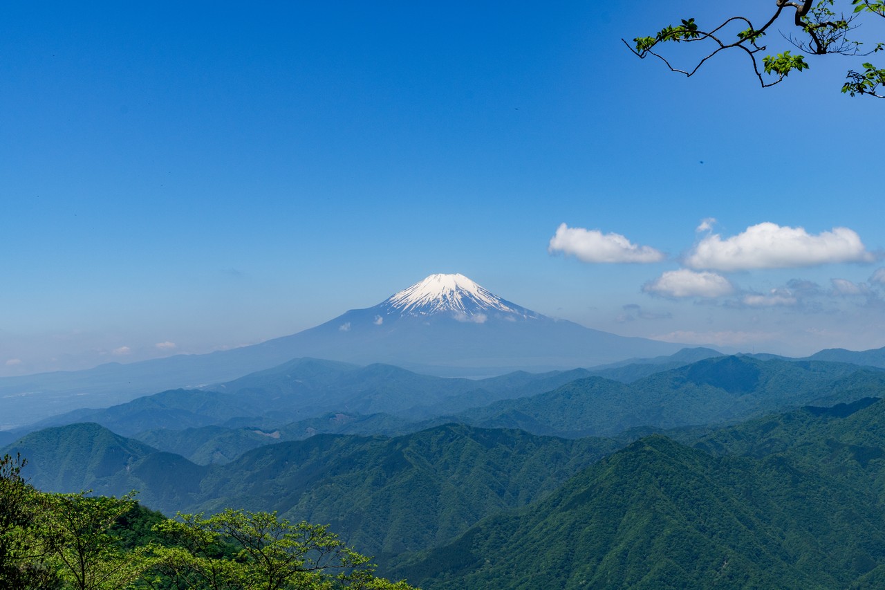 檜洞丸　つつじ新道から見た富士山