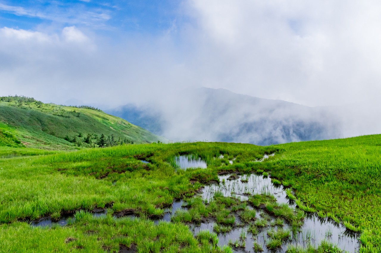 170827会津駒ヶ岳-002