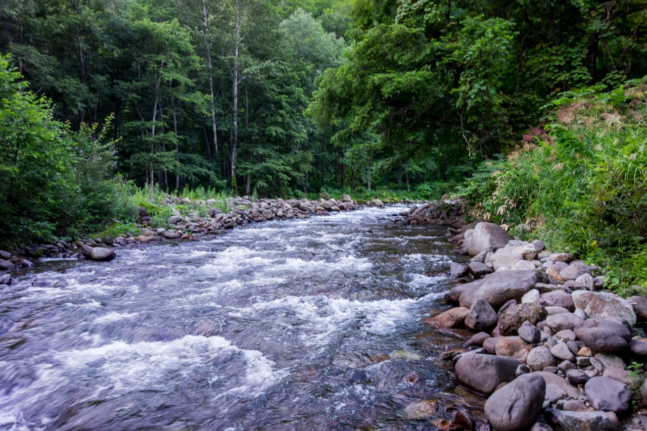 170827会津駒ヶ岳-013