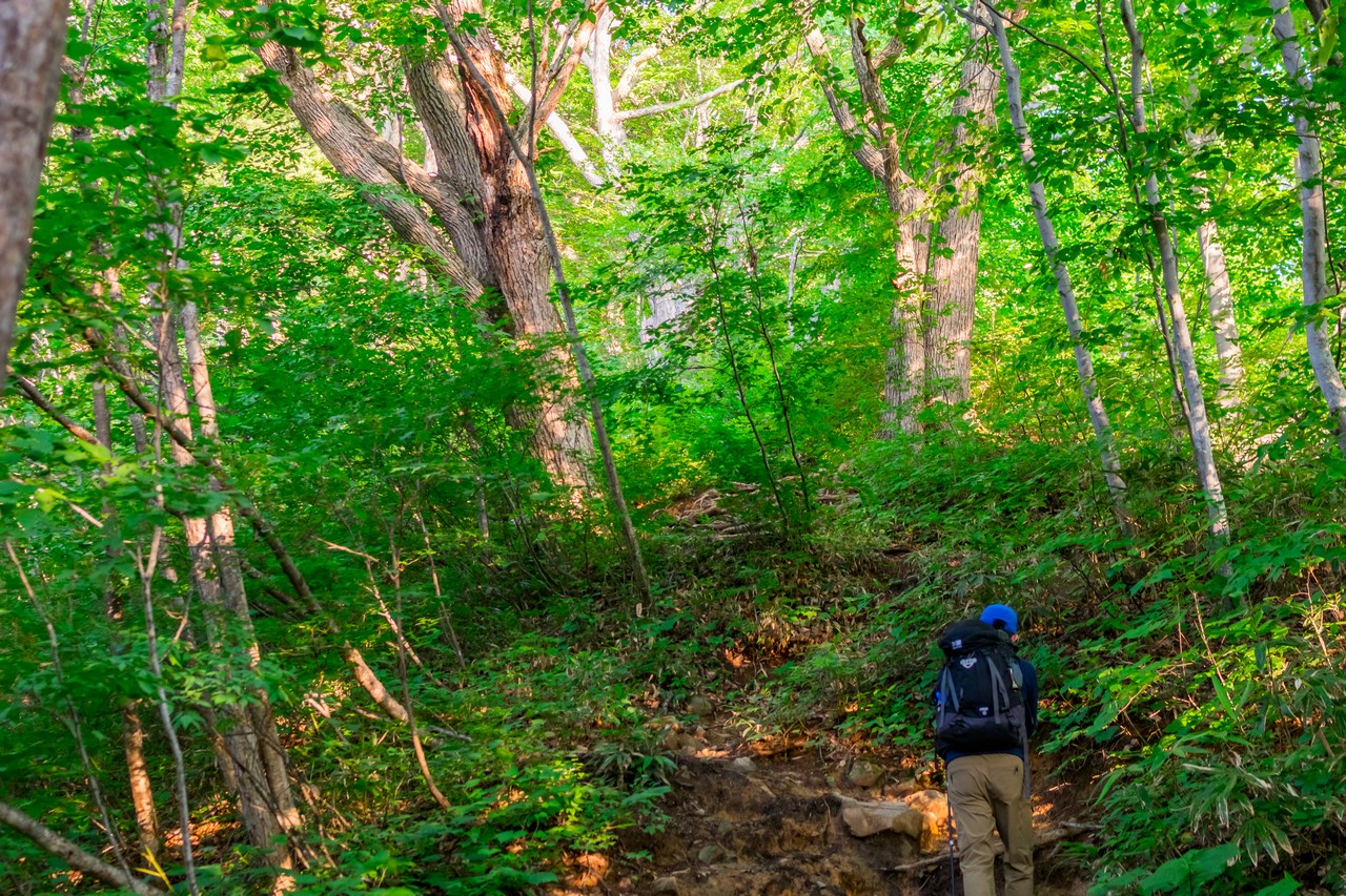 170827会津駒ヶ岳-022