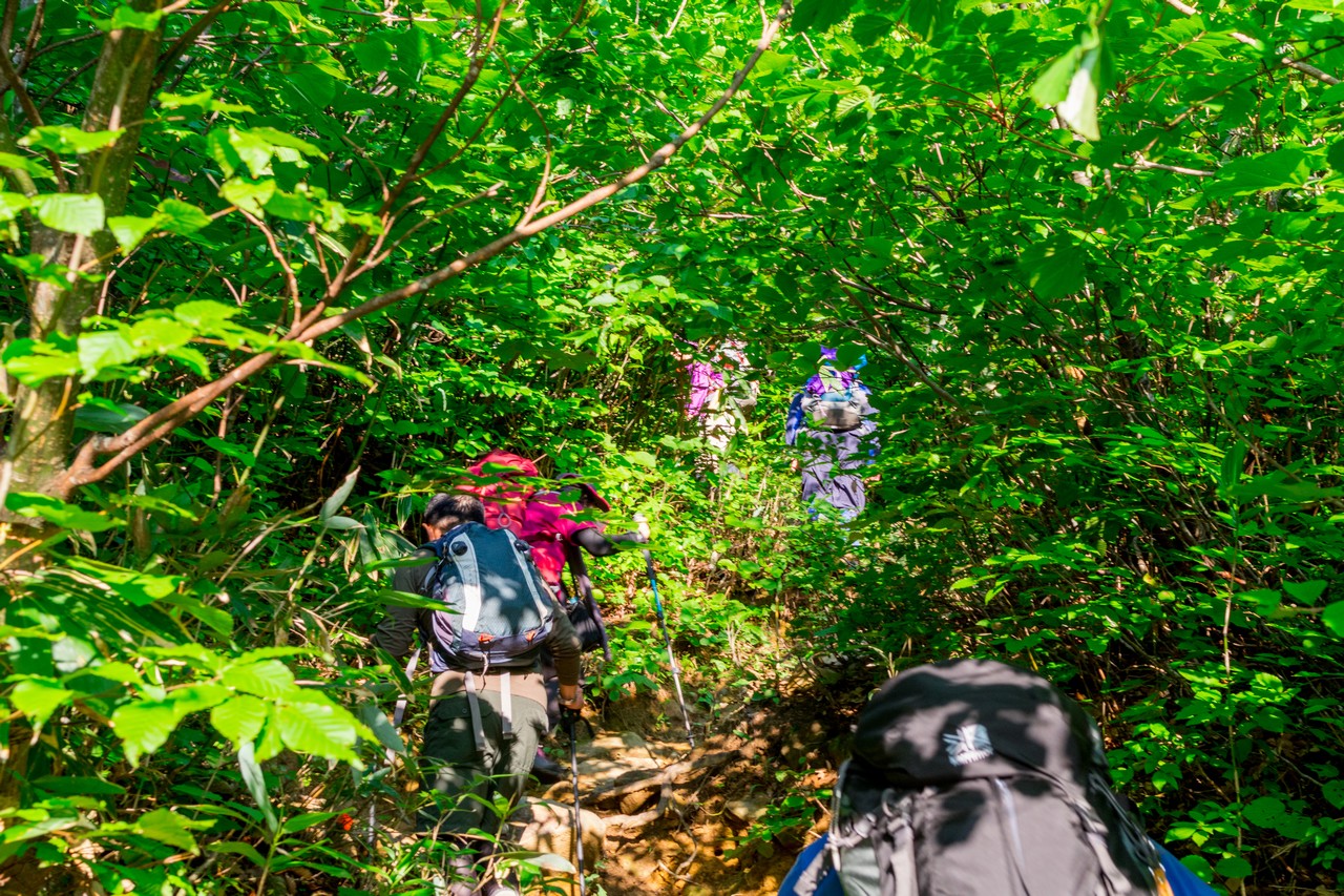 170827会津駒ヶ岳-023