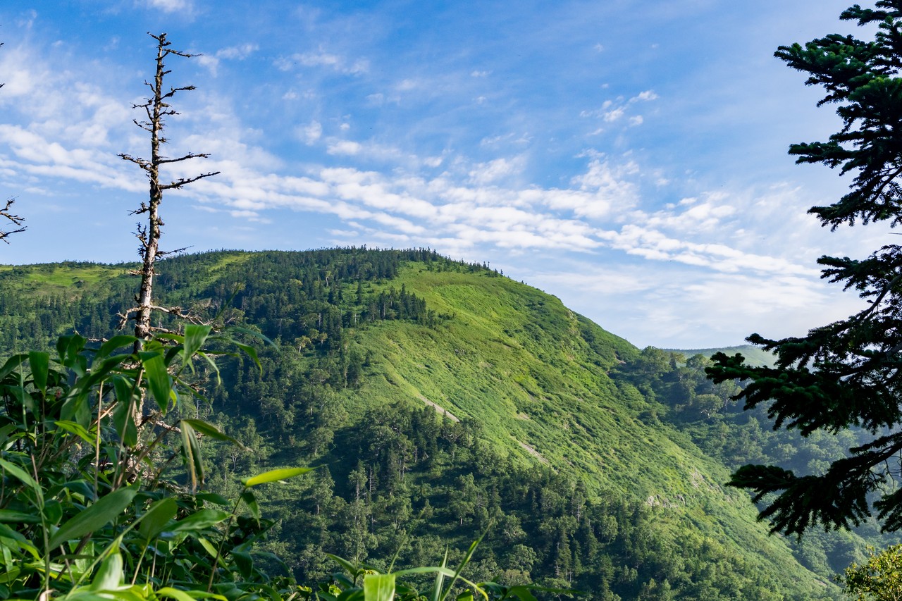 170827会津駒ヶ岳-030