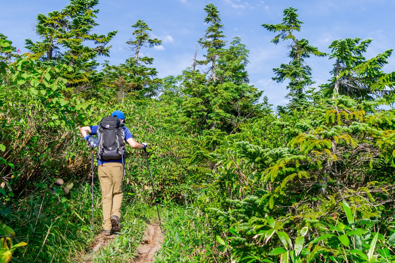170827会津駒ヶ岳-031