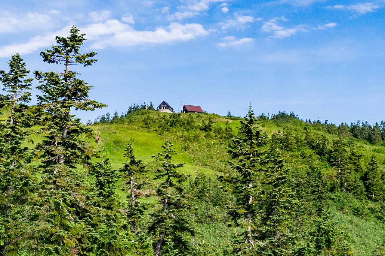 170827会津駒ヶ岳-033