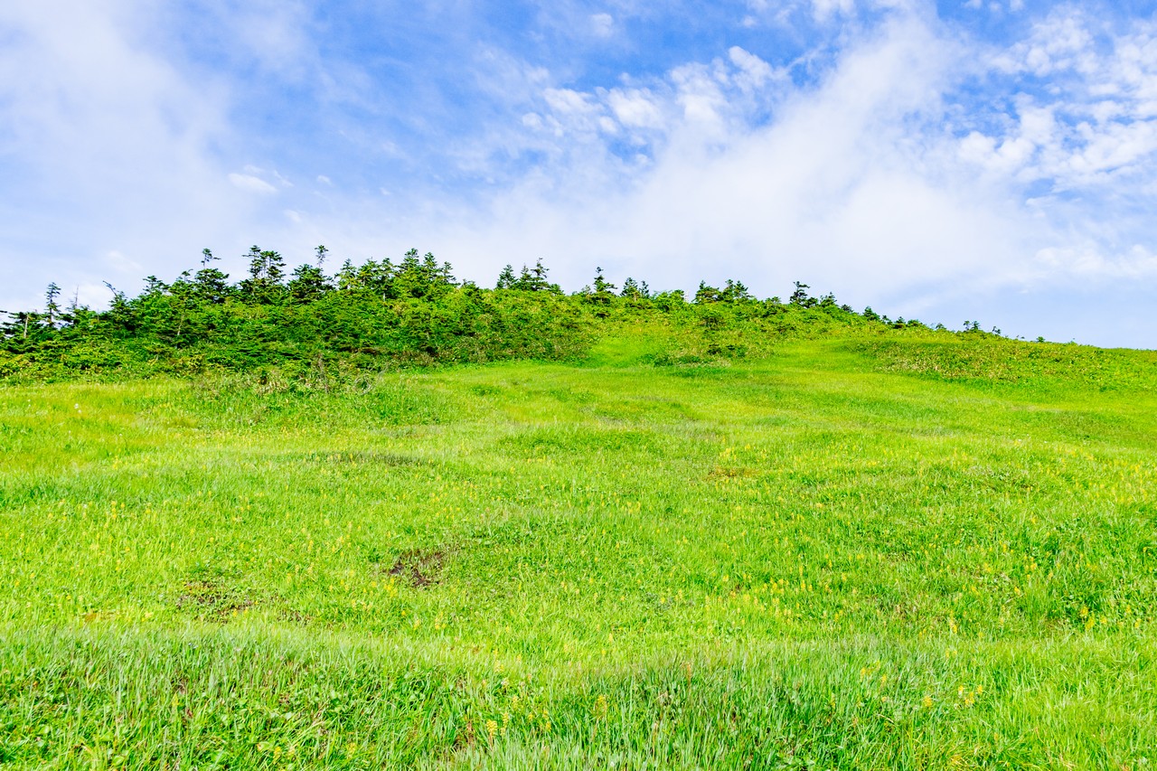 170827会津駒ヶ岳-037