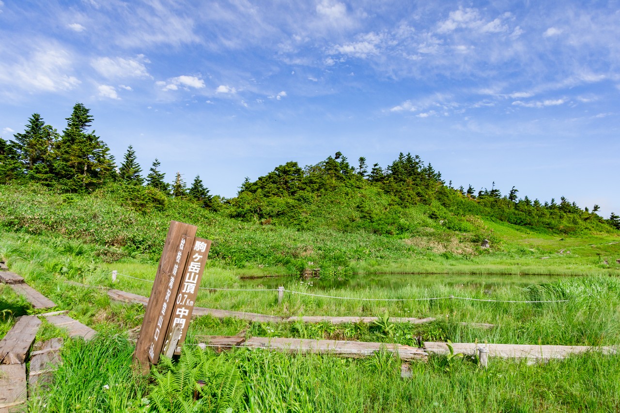 170827会津駒ヶ岳-040