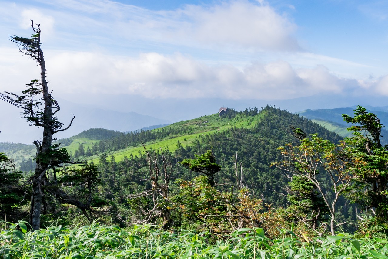170827会津駒ヶ岳-051