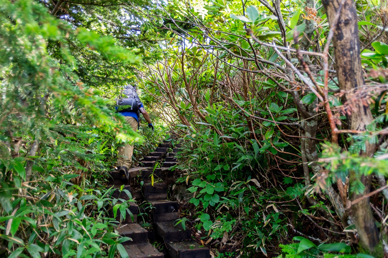 170827会津駒ヶ岳-053