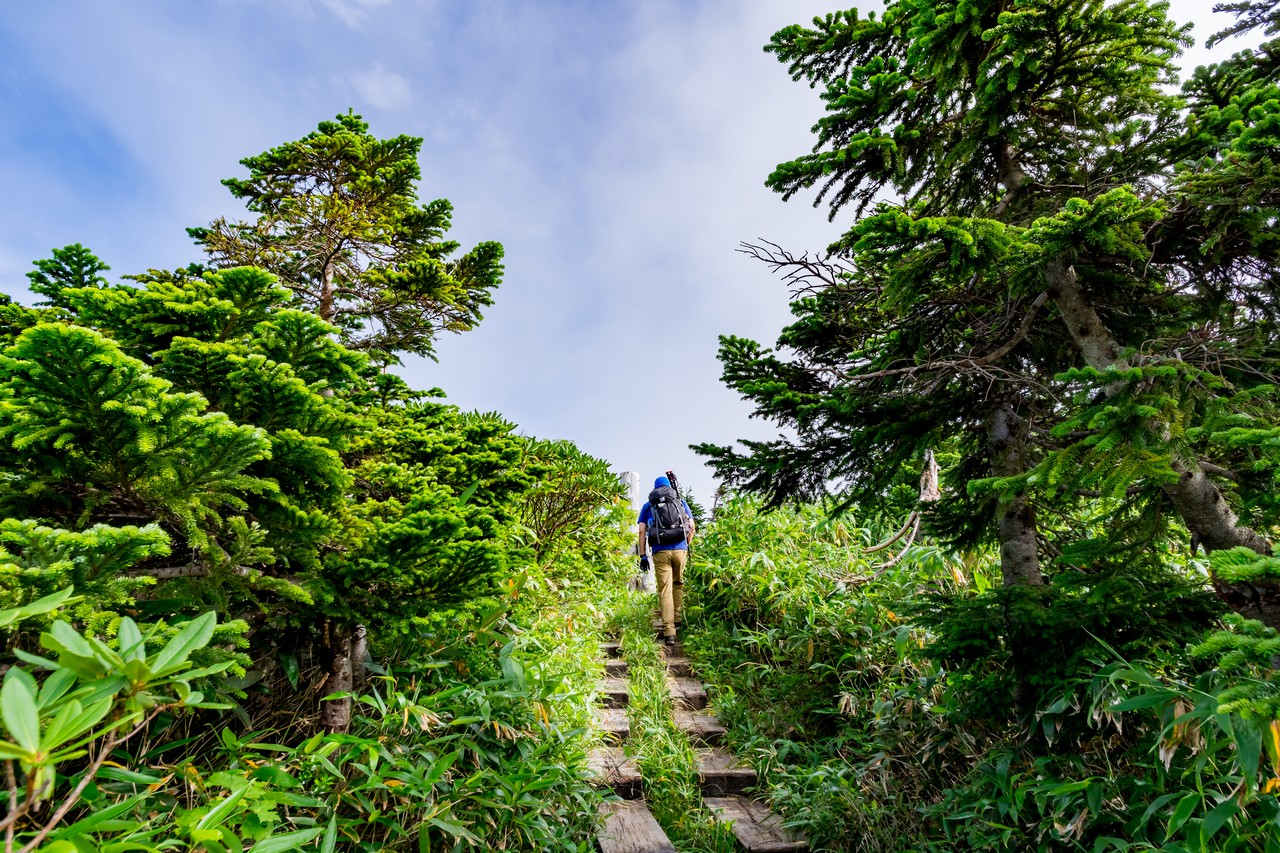 170827会津駒ヶ岳-054