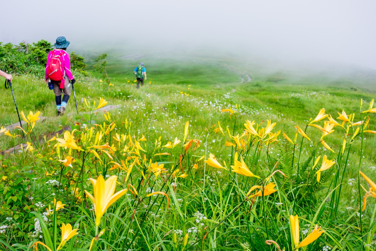 170827会津駒ヶ岳-058