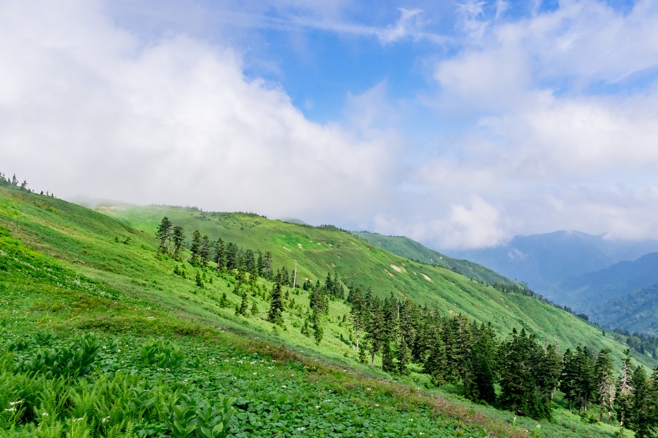 170827会津駒ヶ岳-075