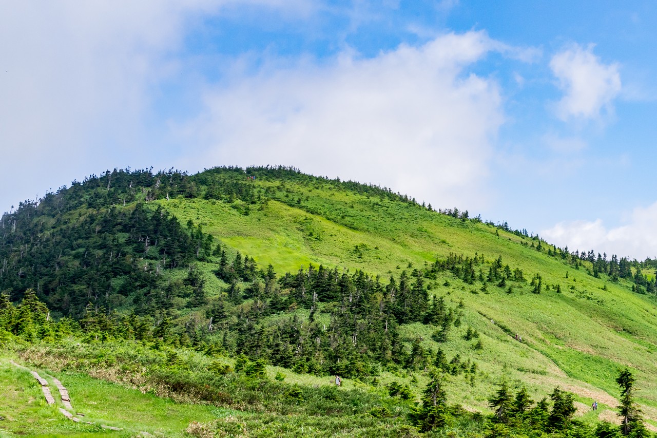 駒の小屋から見た会津駒ヶ岳