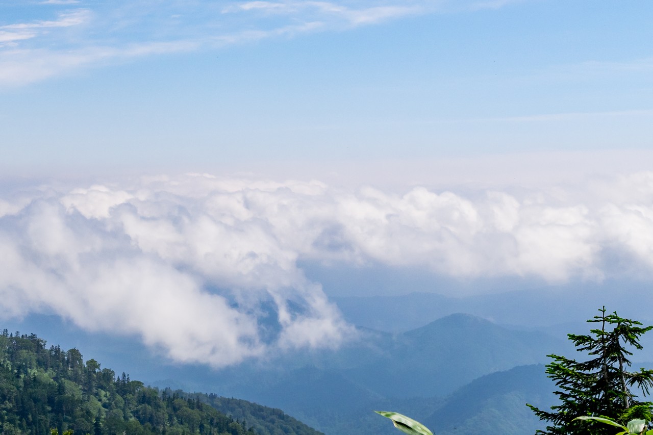 170827会津駒ヶ岳-084