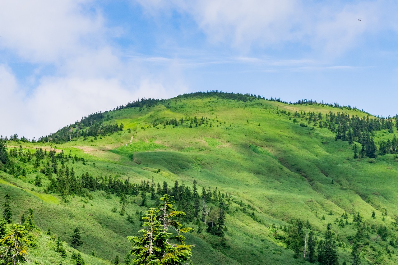 170827会津駒ヶ岳-088