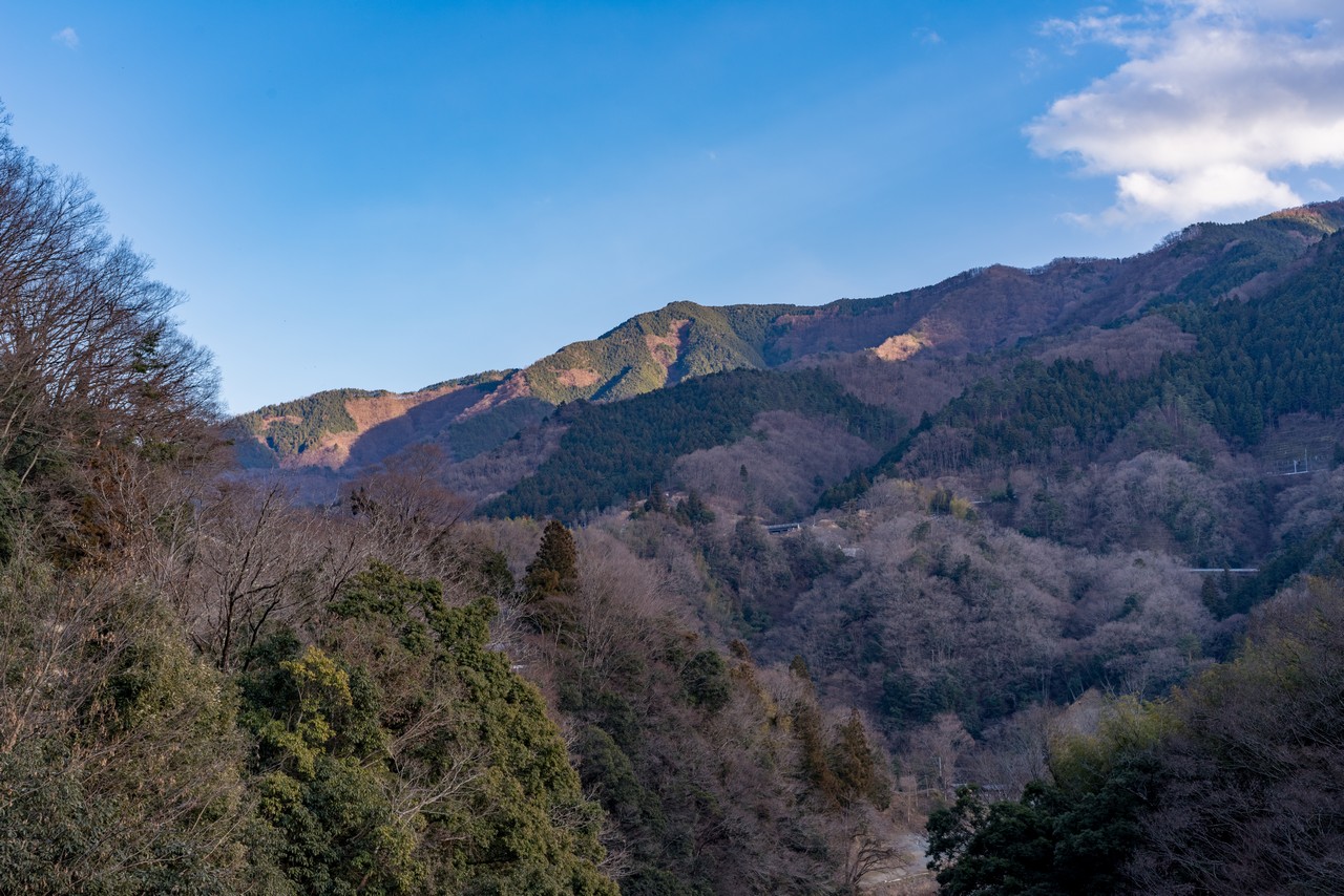 道志ダムから見た焼山