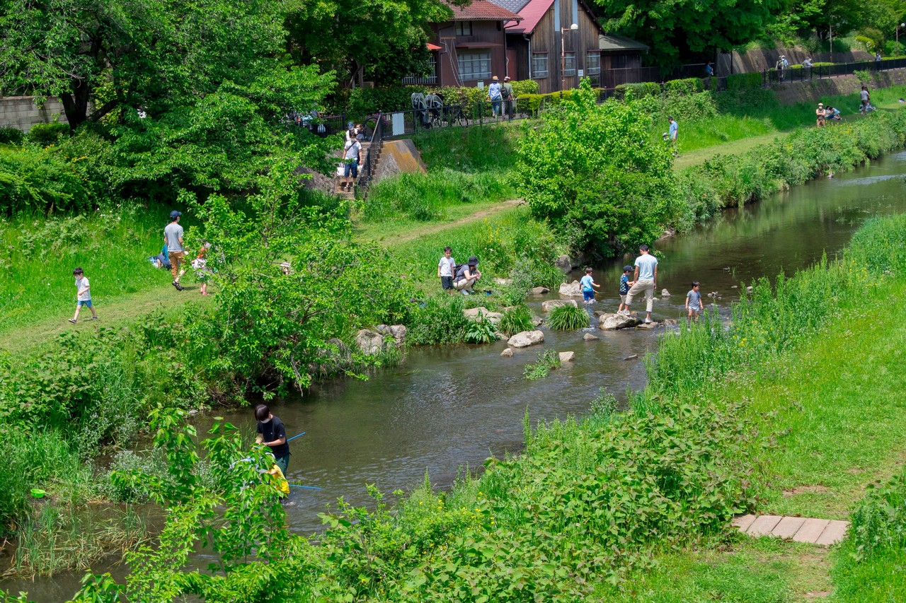 野川で遊ぶ子供