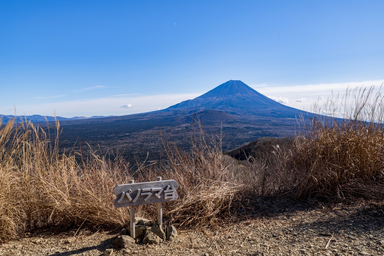 パノラマ台から見た富士山