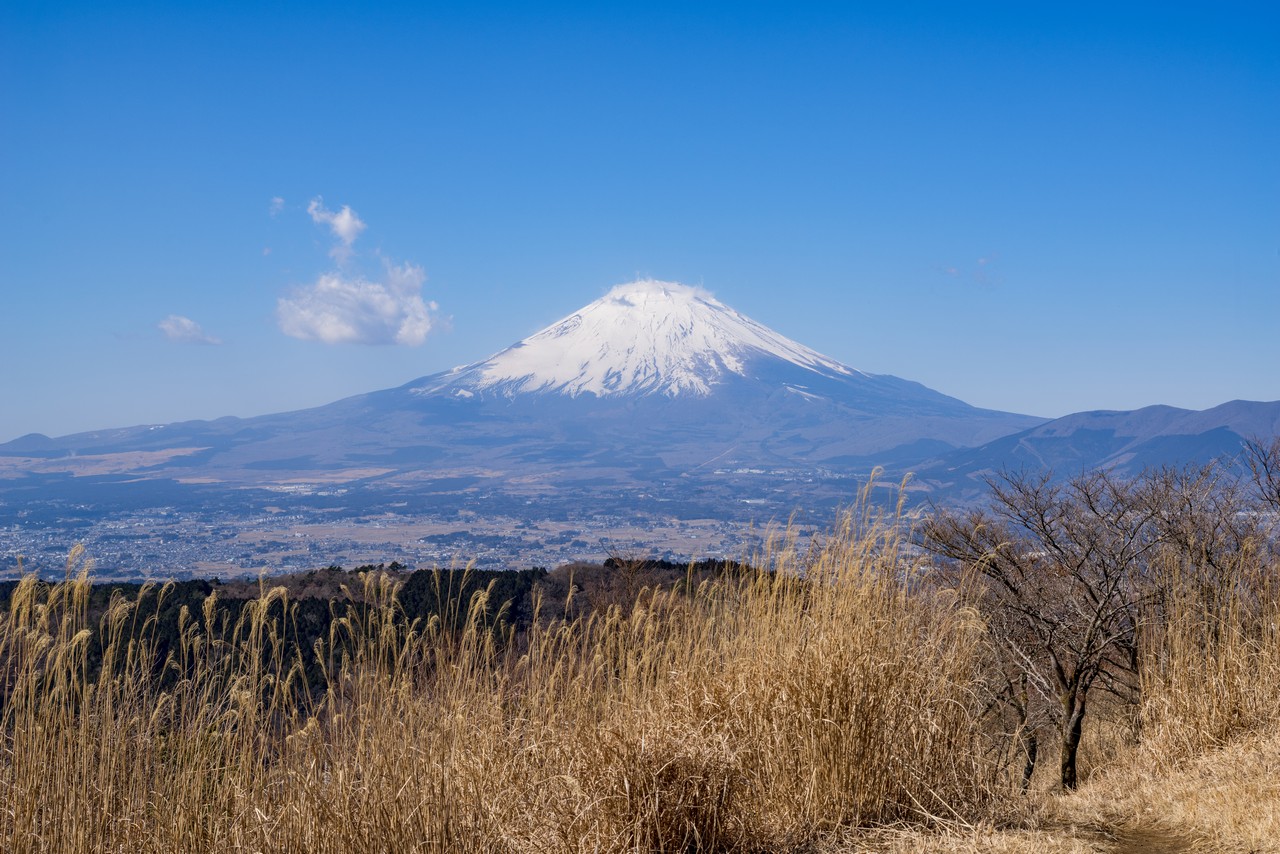 矢倉岳から見た富士山