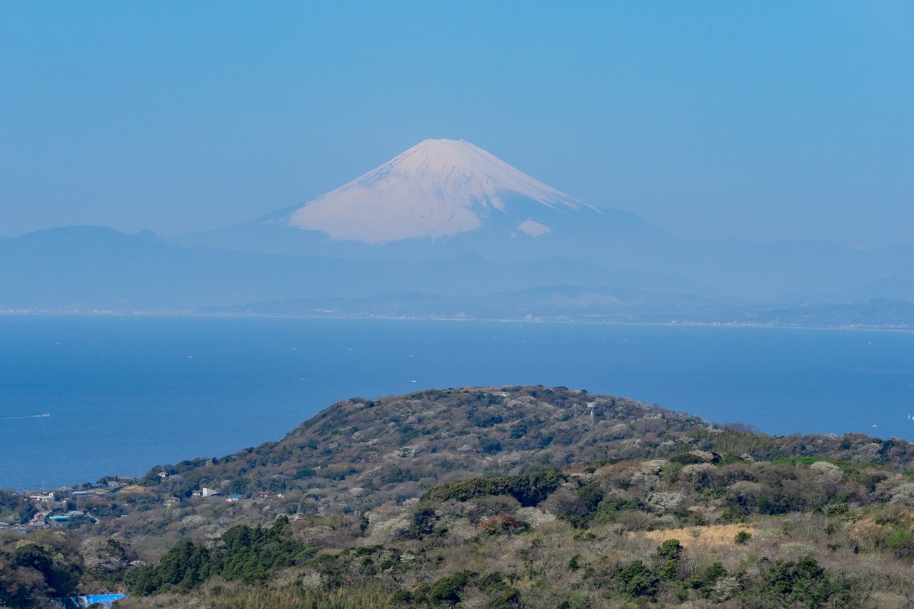 大楠山から見た富士山