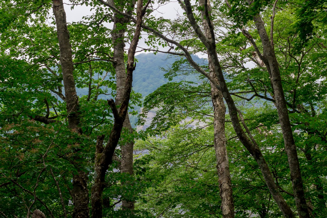 タワ尾根から見た天祖山