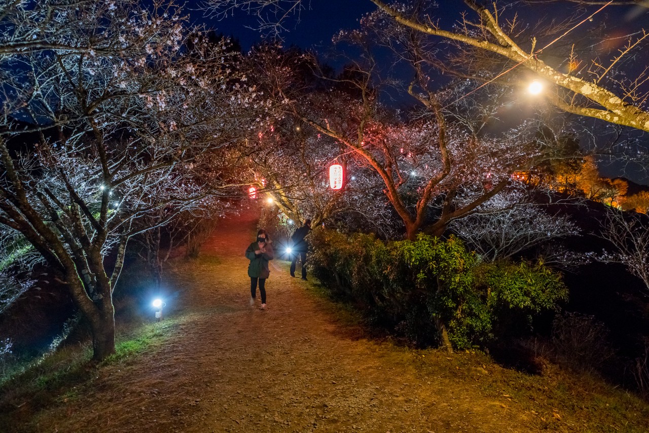 桜山公園のライトアップ