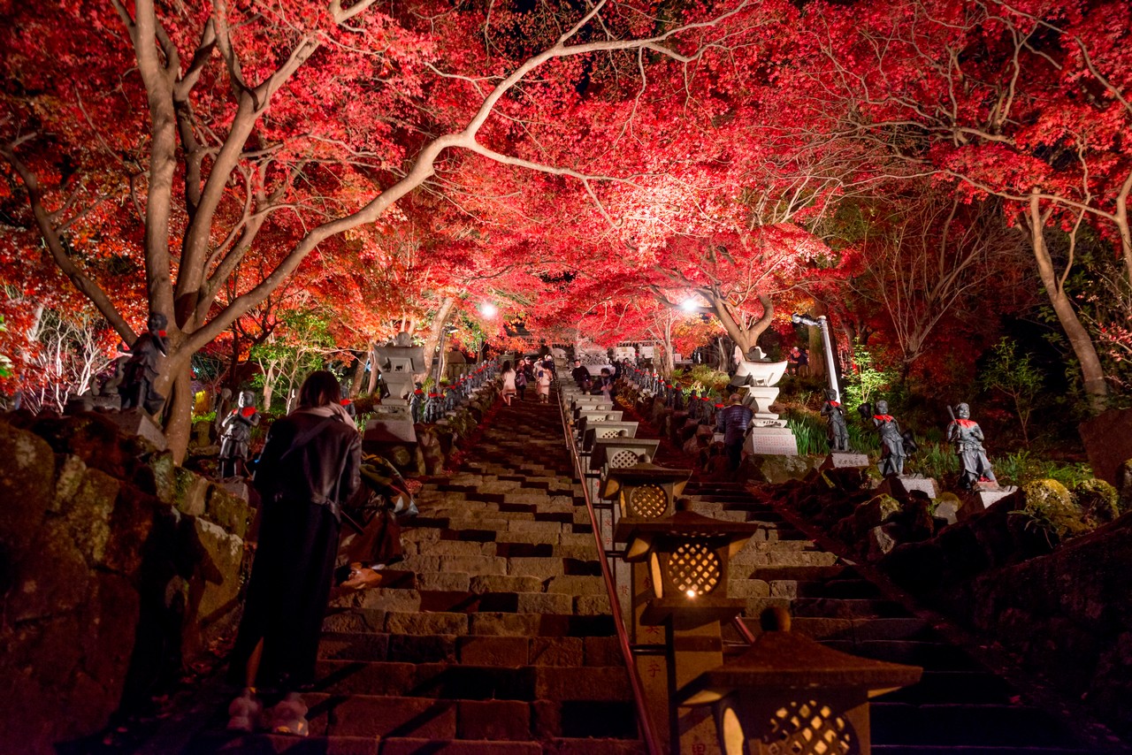 大山寺の紅葉ライトアップ