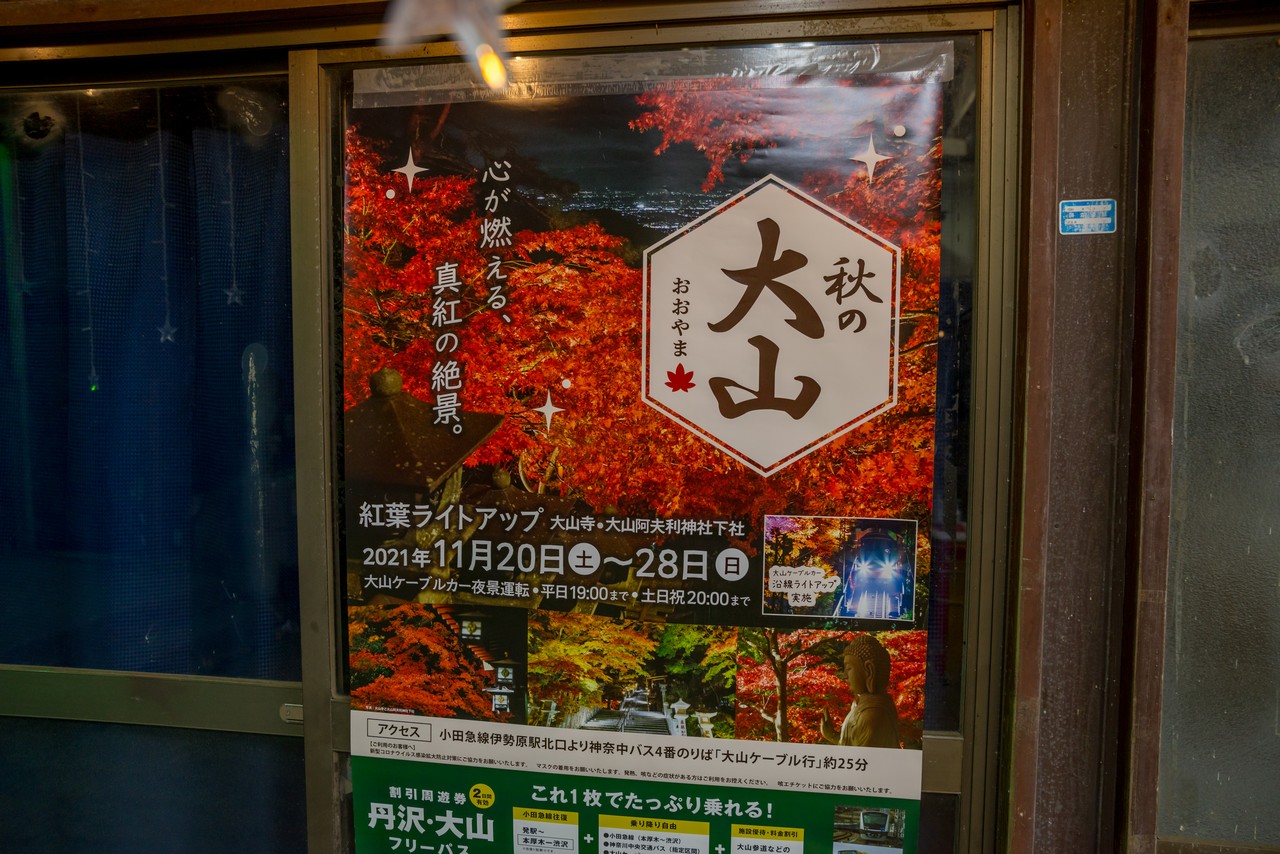 大山紅葉ライトアップのポスター