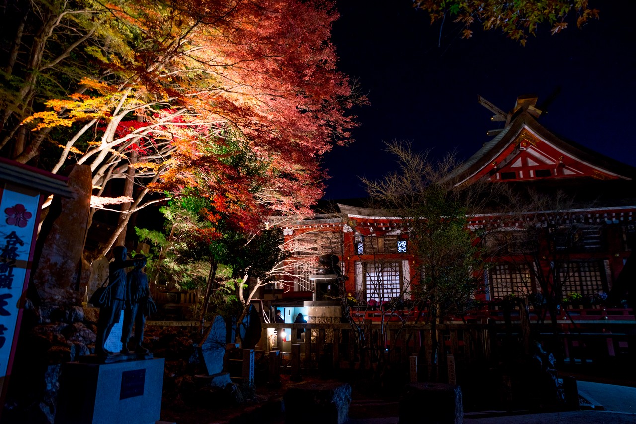 紅葉ライトアップ中の大山阿夫利神社