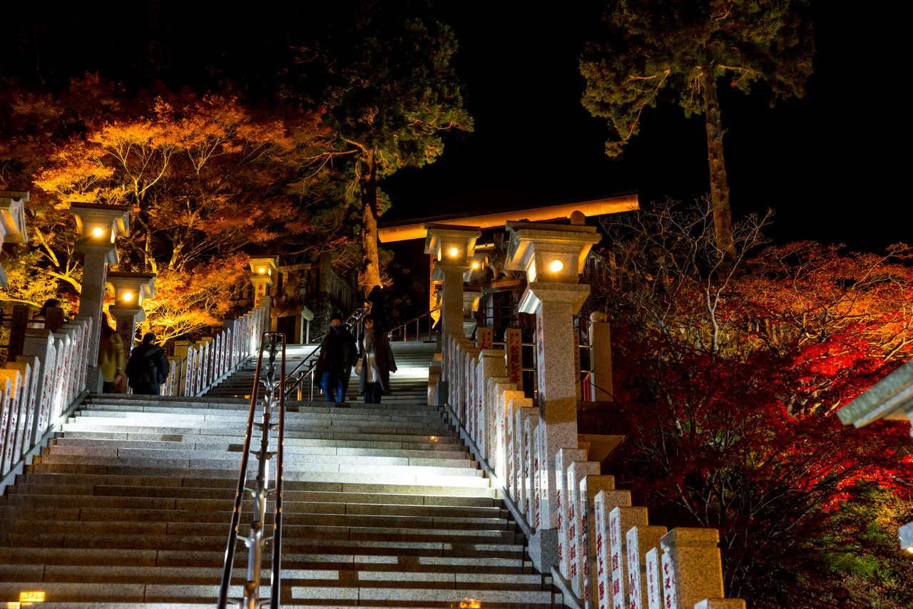 大山阿夫利神社の紅葉ライトアップ