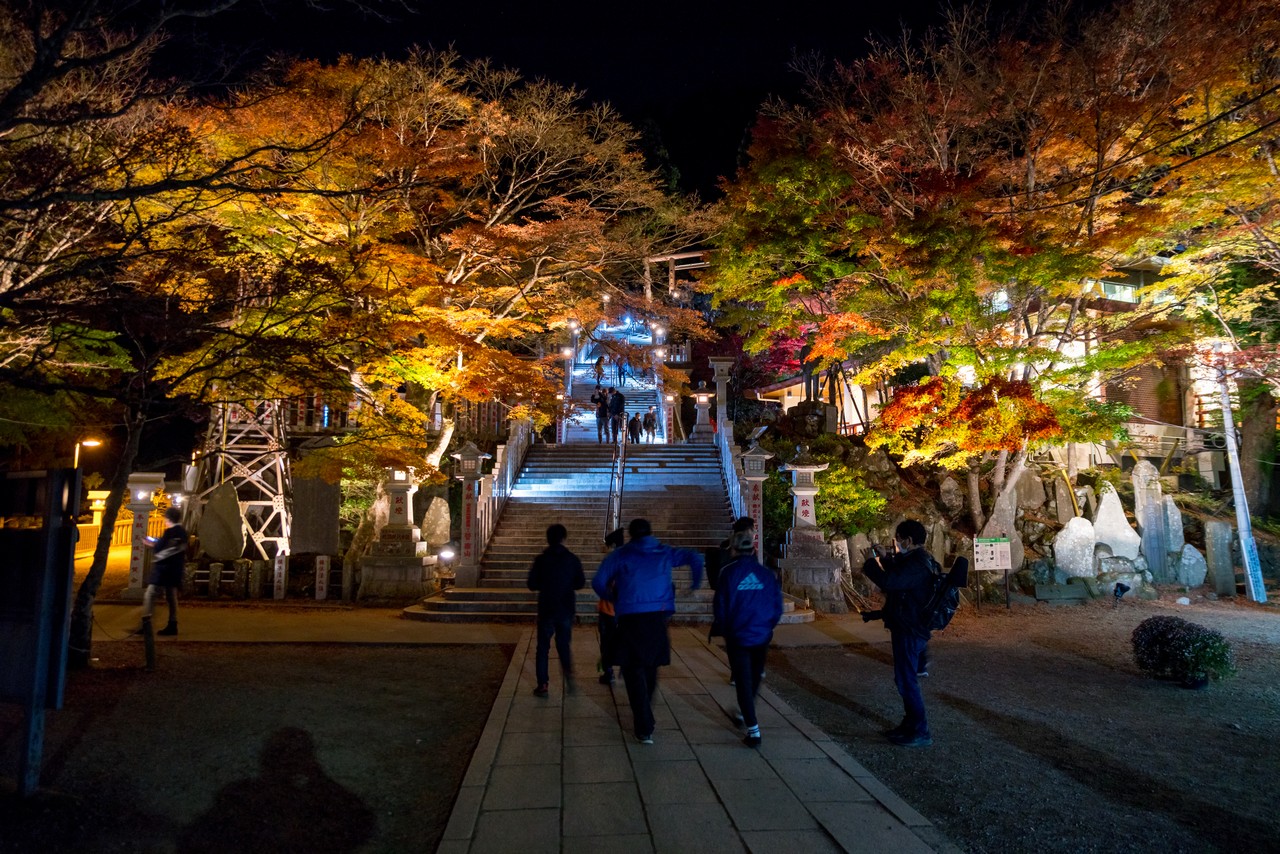 大山阿夫利神社の紅葉ライトアップ