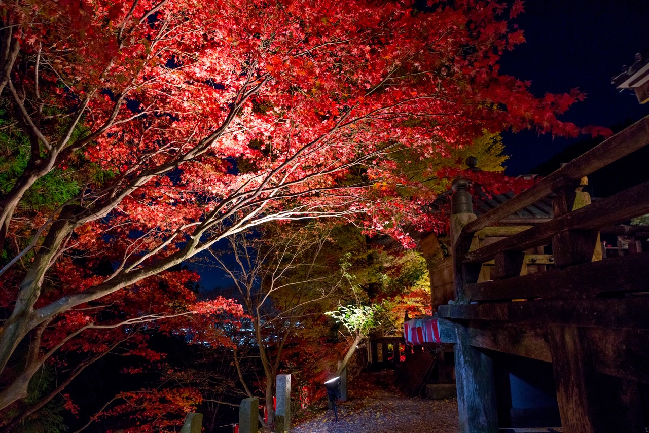 大山寺のライトアップ