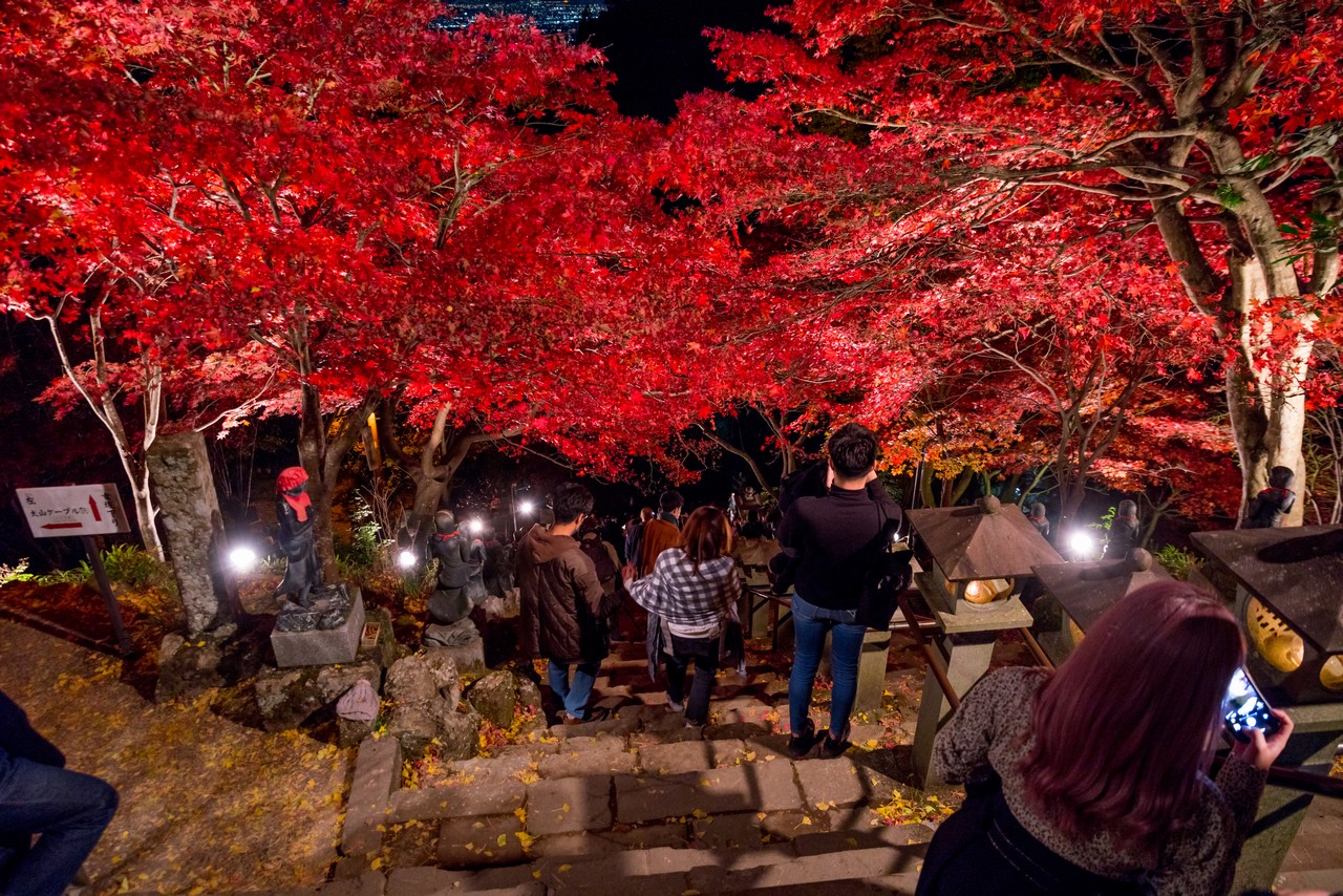 大山寺のライトアップ