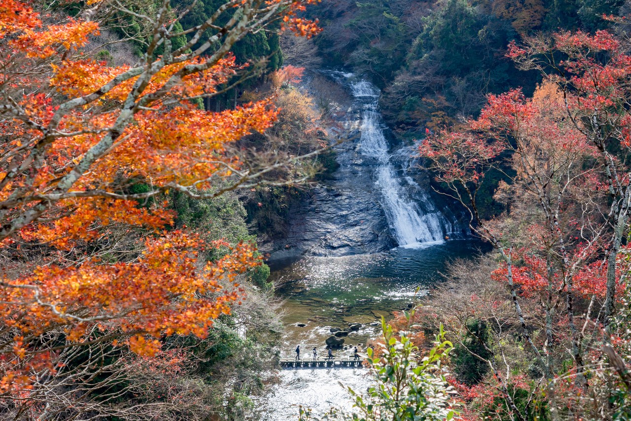 養老渓谷 関東一遅い紅葉の渓谷と、地磁気逆転期地層チバニアン | 週末