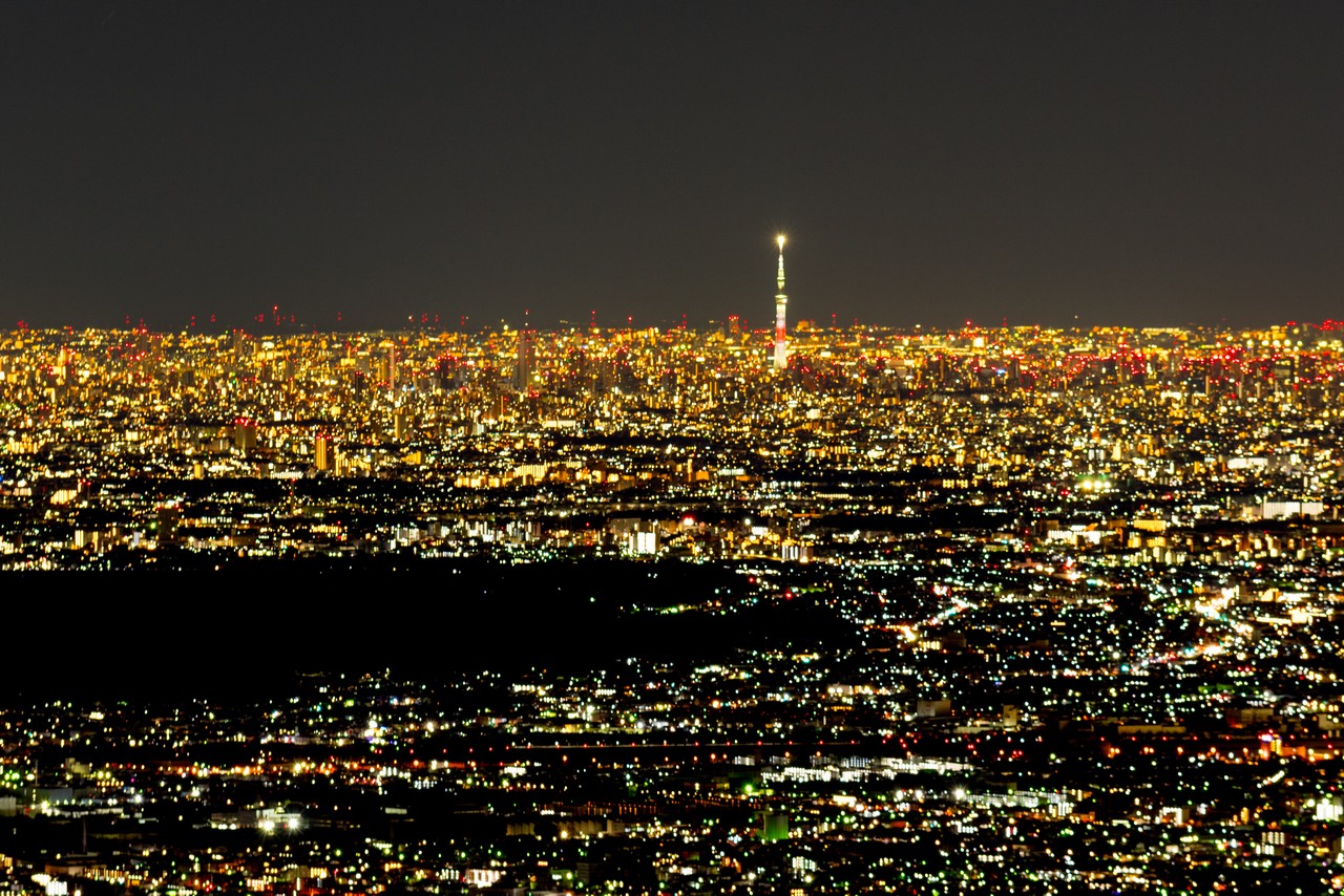 日の出山から見た夜の東京スカイツリー