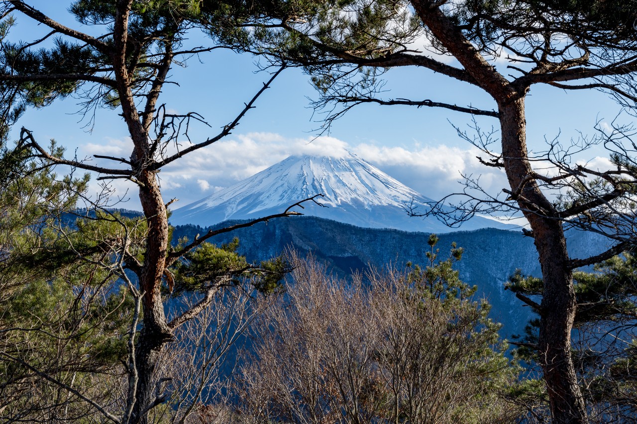 神座山から見た富士山