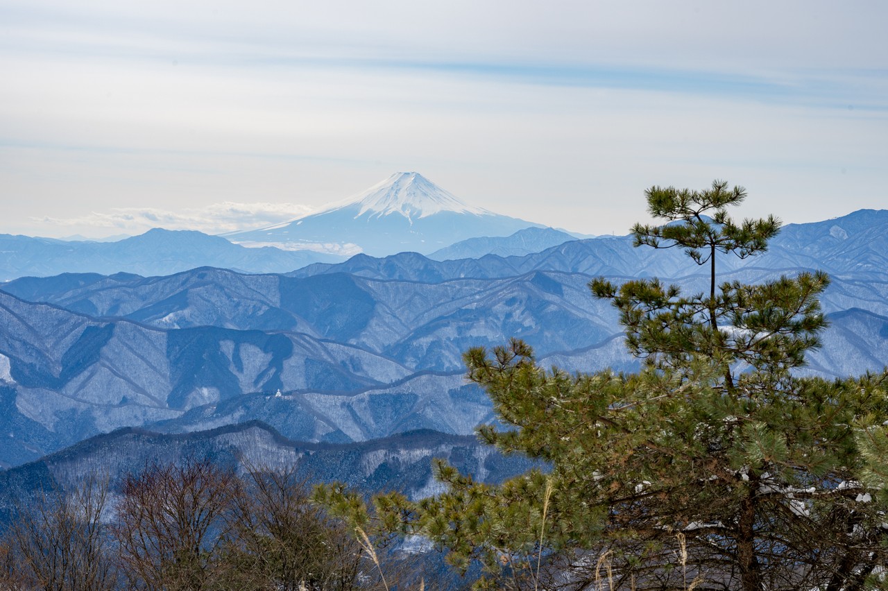 鷹ノ巣山から見た松と富士