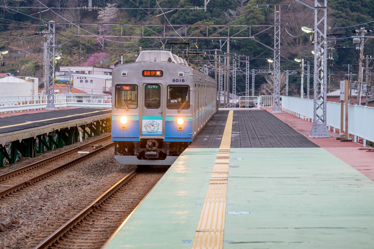 伊豆急行の普通列車