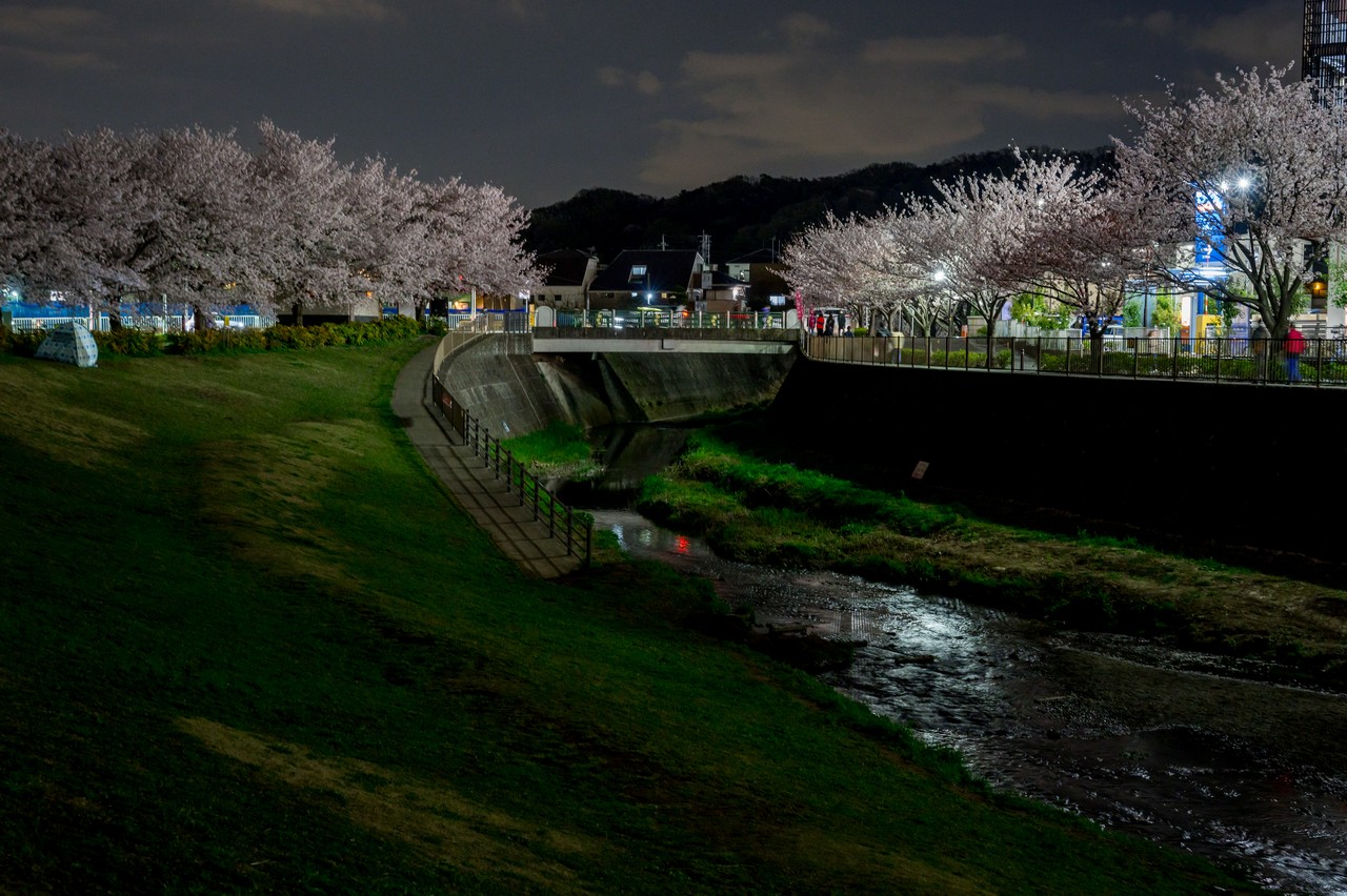 夜の三沢川親水公園