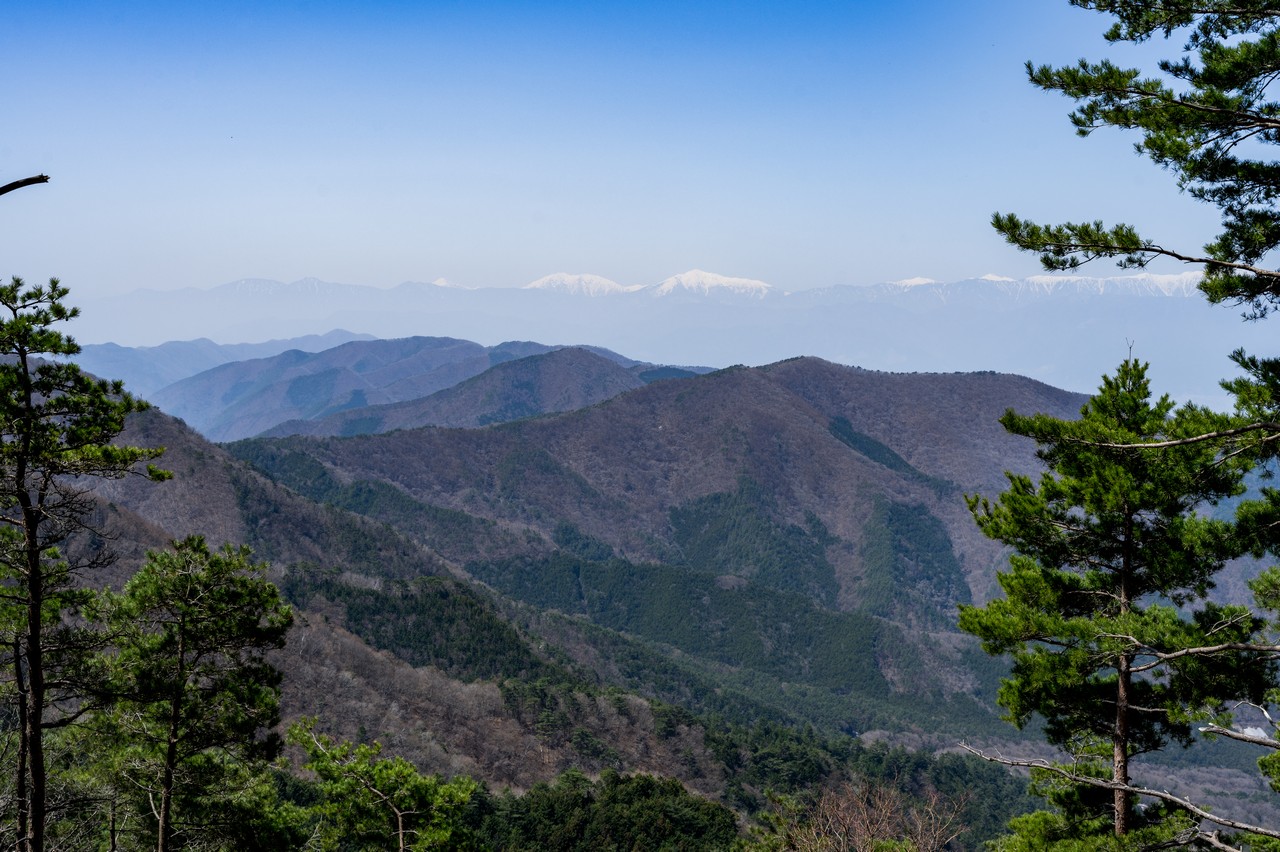 大栃山から見た南アルプス