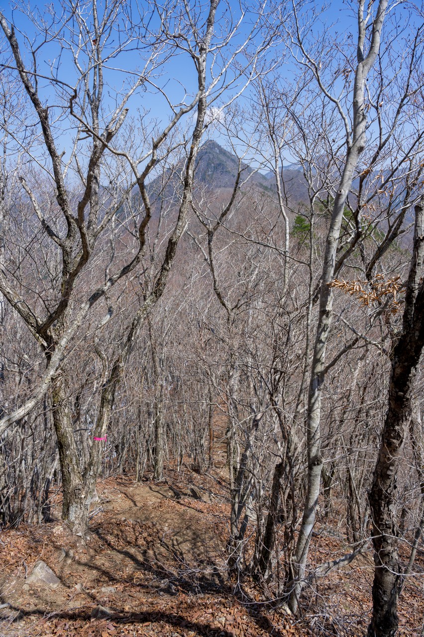 神座山から見た釈迦ヶ岳