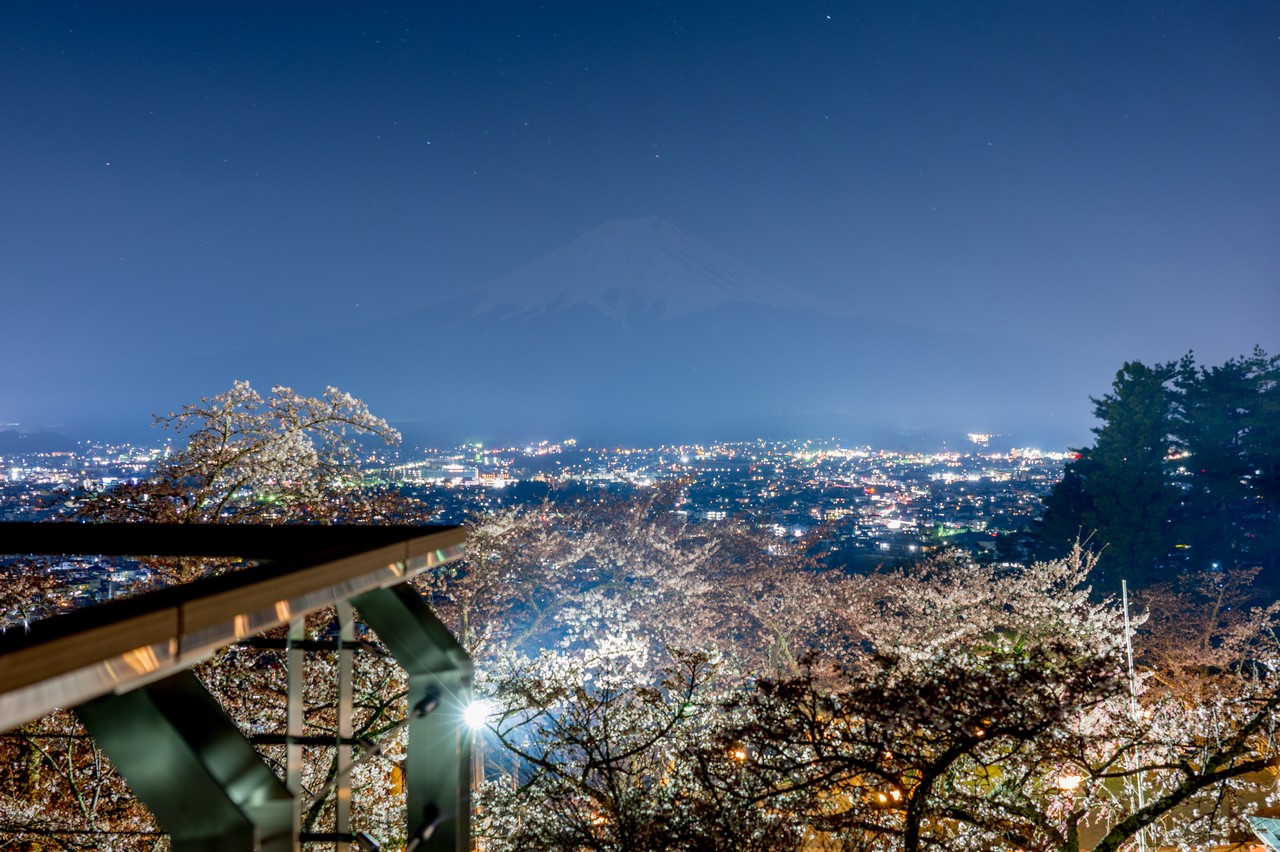 夜の新倉山浅間公園から見た富士山