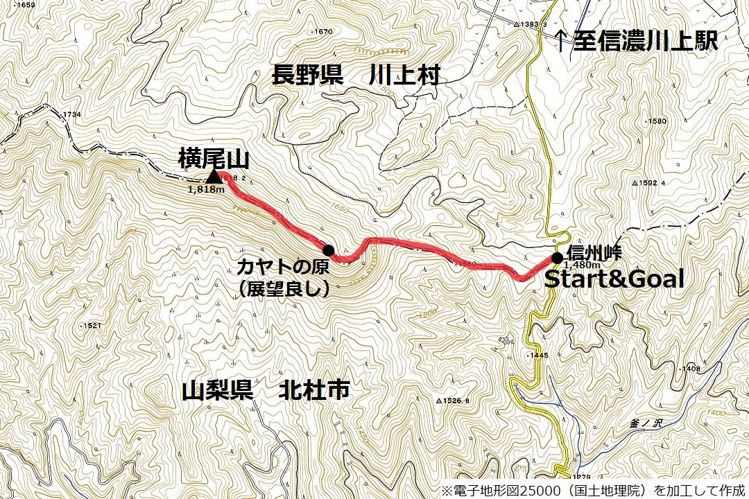 横尾山のコースマップ