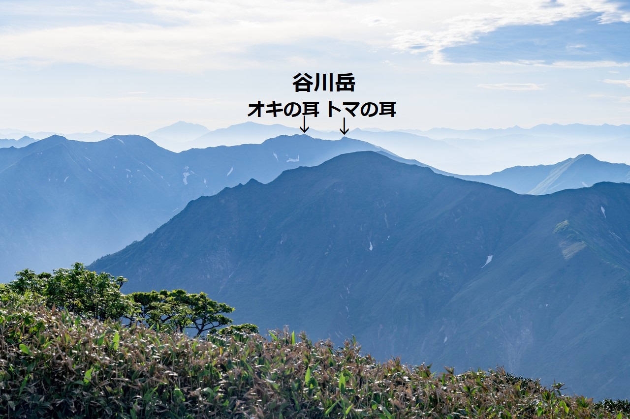 仙ノ倉山から見た谷川岳
