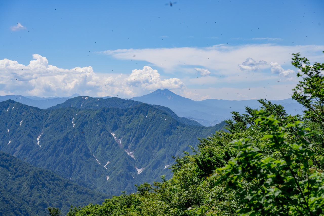 浅草岳から見た燧ヶ岳