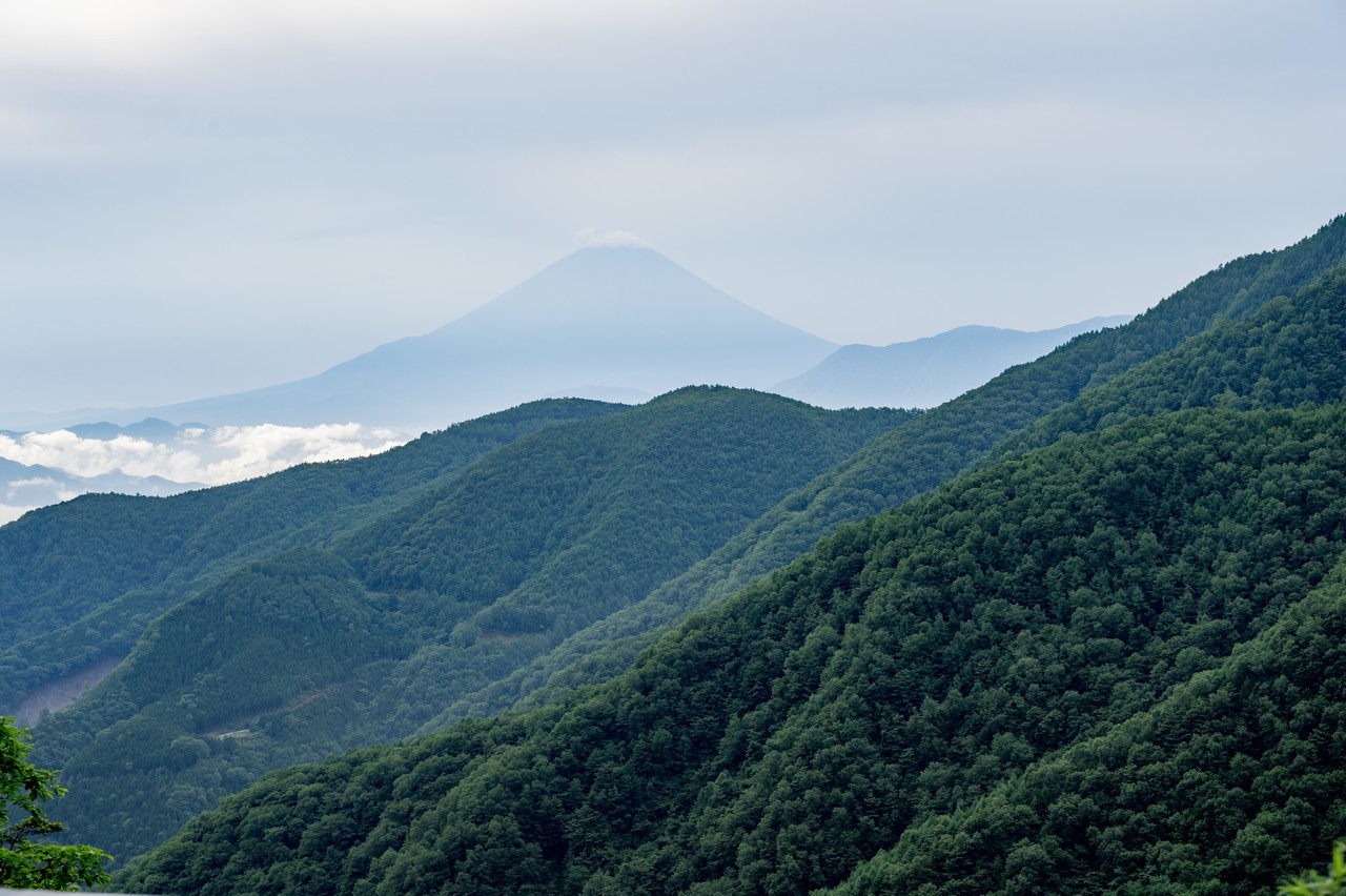 丸山林道から見た富士山