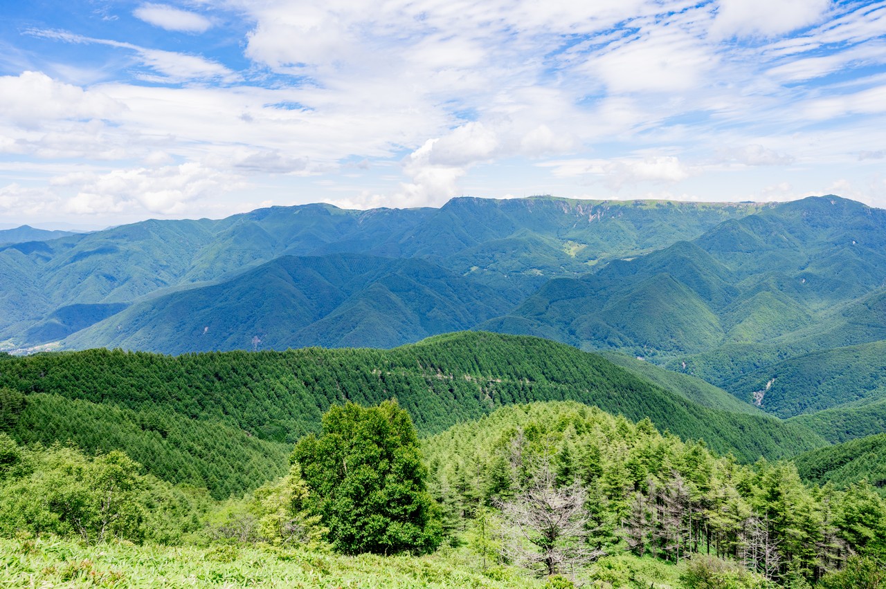 鉢伏山から見た美ヶ原