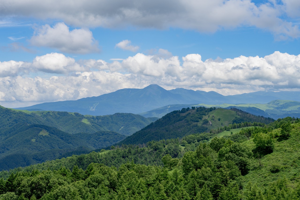 鉢伏山から見た蓼科山