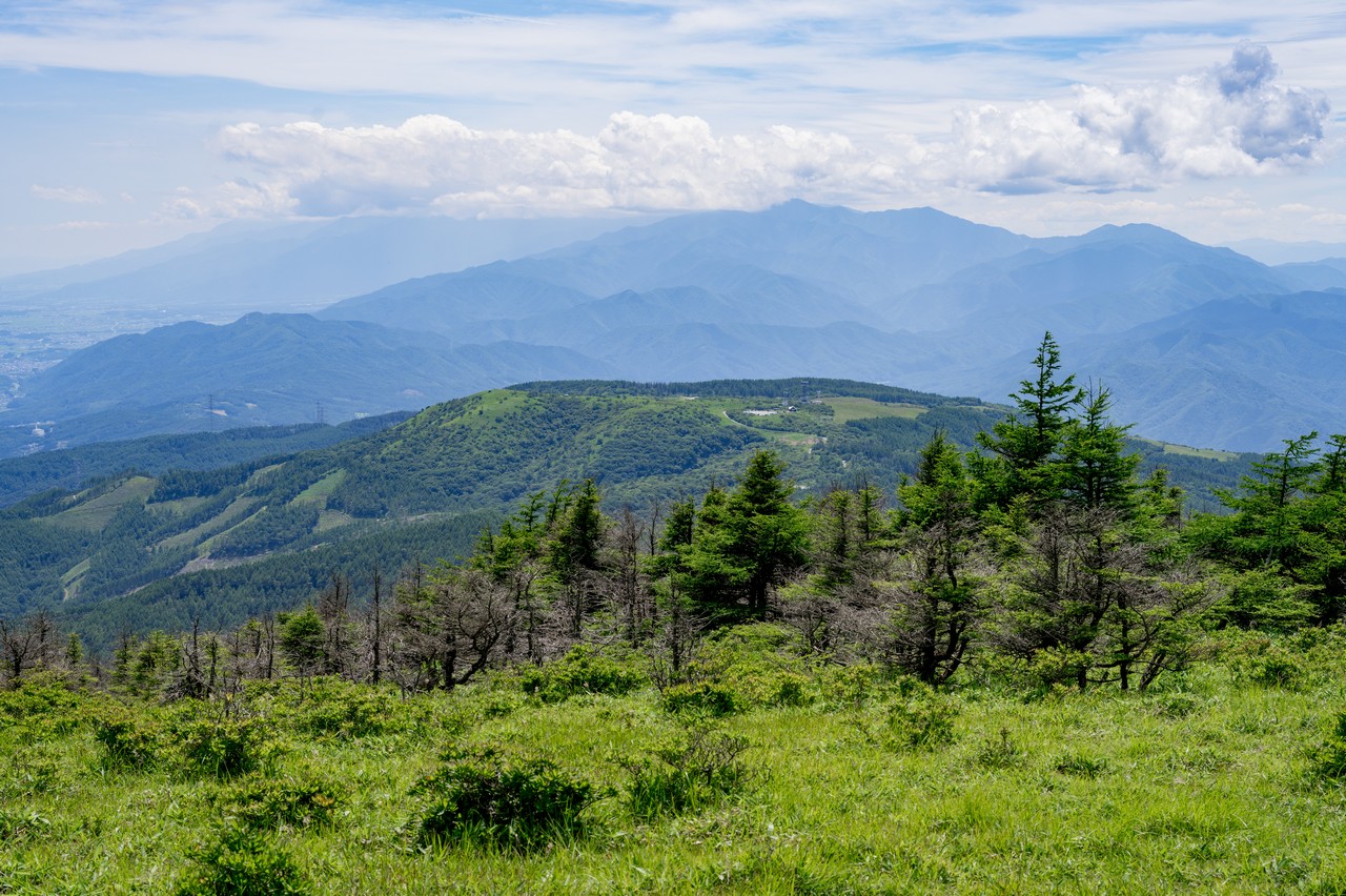 鉢伏山から見た高ボッチ山