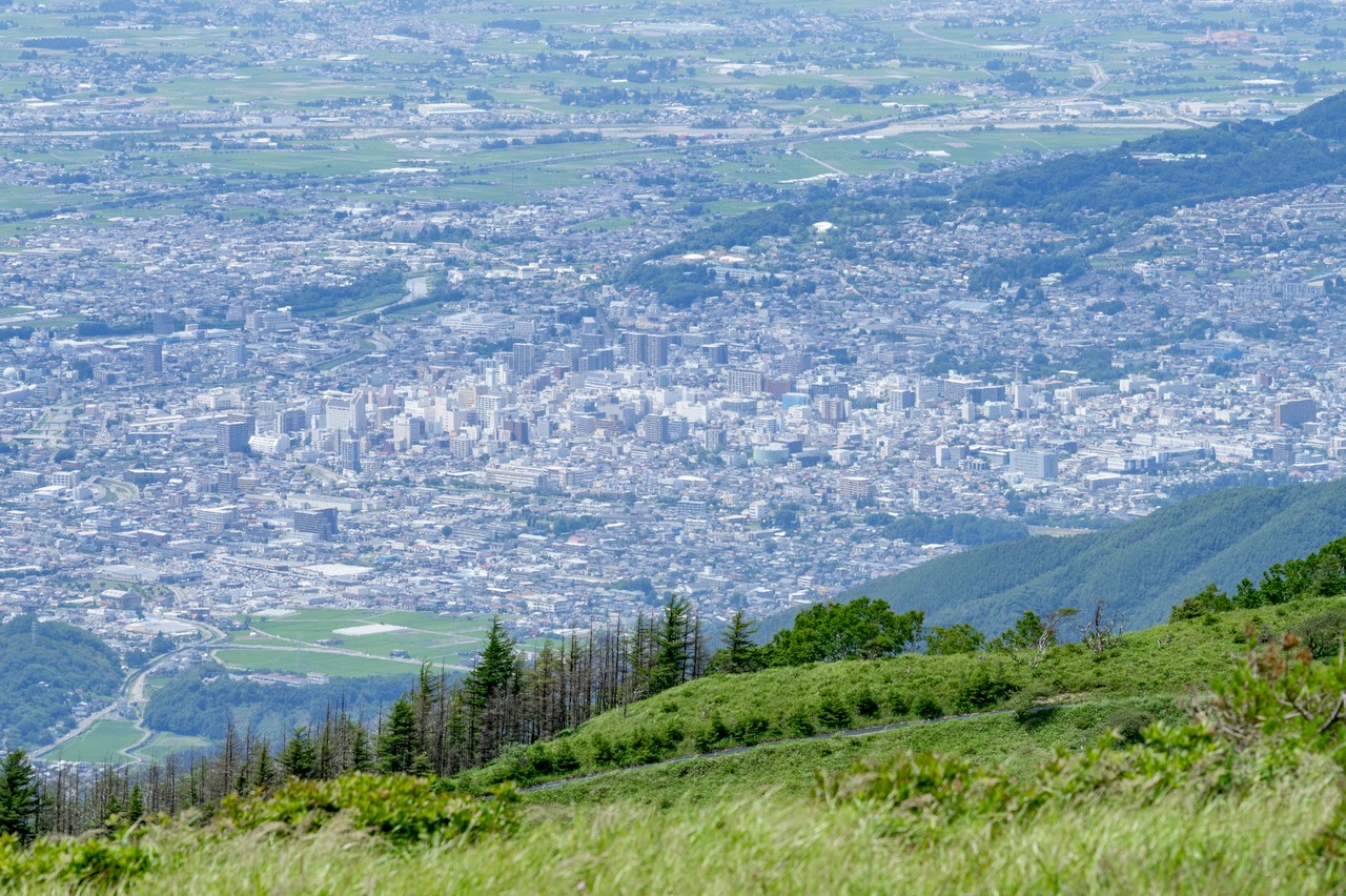 鉢伏山から見た松本の市街地