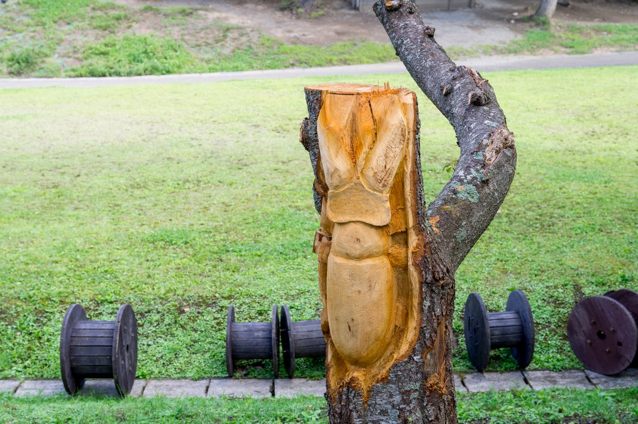 木彫りのクワガタムシ